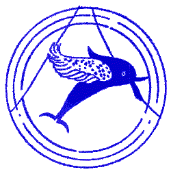 flying-dolphins